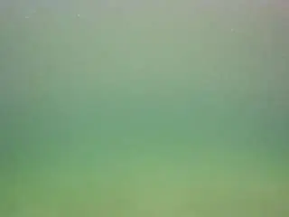 Camsoda Free Porn Cam of voyeurcam-casa-salsa-pool-1