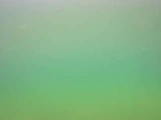 Camsoda Best live sex cam show of voyeurcam-casa-salsa-pool-1