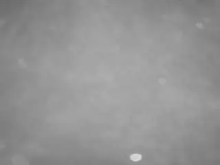 Camsoda Adult Webcam of voyeurcam-casa-salsa-pool-1