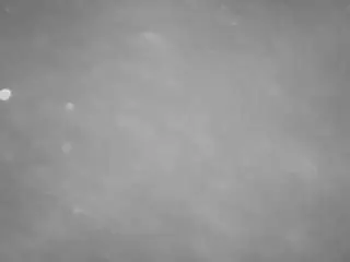 Camsoda Adult Video Chat of voyeurcam-casa-salsa-pool-1