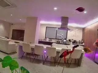 Camsoda Adult Video Chat of voyeurcam-casa-salsa-fishtank