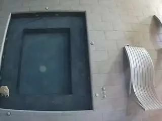 Camsoda Private Sex Chat of voyeurcam-casa-salsa-hottub-view