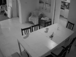 Camsoda Adult Webcam of voyeurcam-julmodels-dining