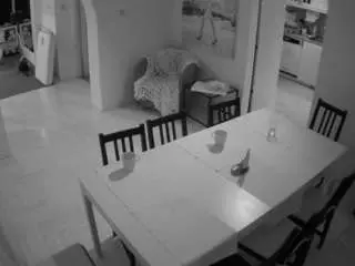 Camsoda Nude Webcam of voyeurcam-julmodels-dining