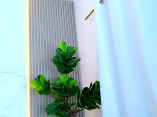 Camsoda Sex Cam of laurenrodriguez