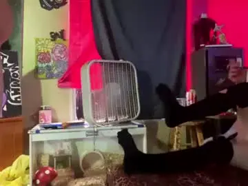 Chaturbate Adult Webcam of lilbunbun05