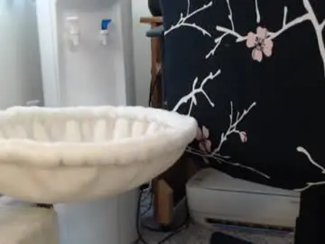 Chaturbate Private Sex Chat of bbwmilfforcamfun