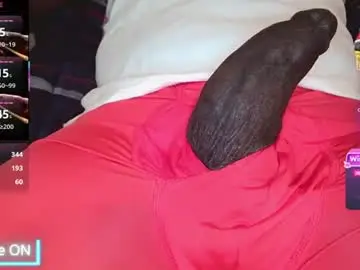 Chaturbate Adult Webcam of bigdikfreak
