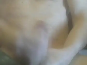 Chaturbate Nude Webcam of cutemuscledanaconda