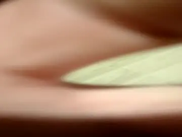 Chaturbate Live Sex Cam of marijan1209
