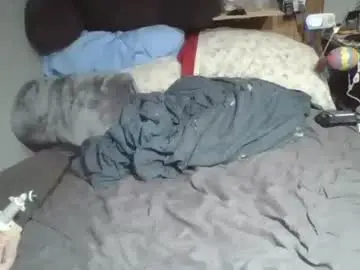 Chaturbate Adult Webcams of lildman420