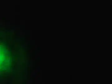 Chaturbate Private Sex Chat of newguy6984
