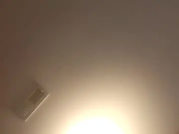 Chaturbate Adult Webcam of playwithtalon29