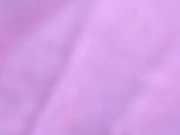 Chaturbate Sex Chat of talia_mystic
