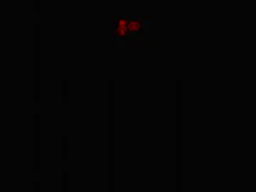 Chaturbate Adult Webcams of countryjoe2002