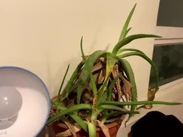 Chaturbate Nude Webcam of emanuell___