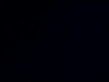 Chaturbate Free Live Porn of wildman3845