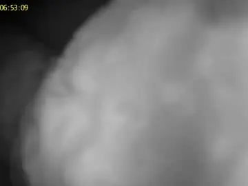Chaturbate Sex Chat of jehovathiccness