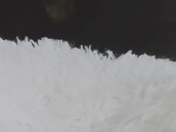Chaturbate Nude Webcam of axarawilliams