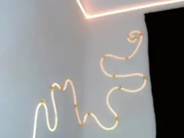 Chaturbate Live Sex of everlin_01