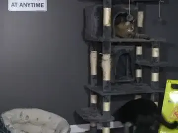 Chaturbate Sex Cam of sydaffect