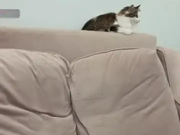 Chaturbate Adult Webcam of gertanord
