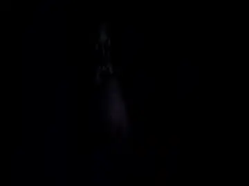 Chaturbate Adult Webcam of ass_playbuttom