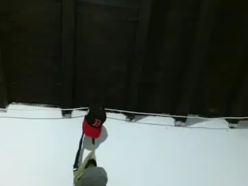 Chaturbate Sex Chat of sk8sir
