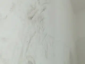 Chaturbate Best Webcam of brant_garcia