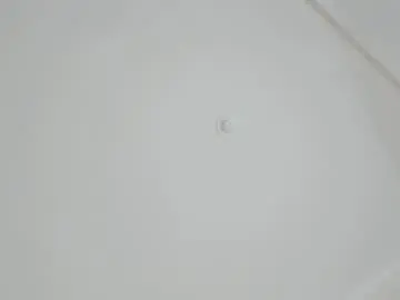 Chaturbate Best Webcam of adelina_bliss