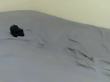 Chaturbate Free Live Porn of petite_bunni