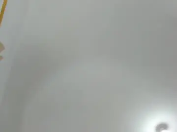 Chaturbate Sex Chat of alondra_and_danna