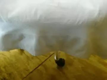 Chaturbate Adult Webcam of 14xxxromeo