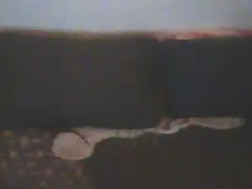Chaturbate Adult Webcams of smi35