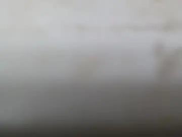 Chaturbate Sex Cam of junk_yard_dog