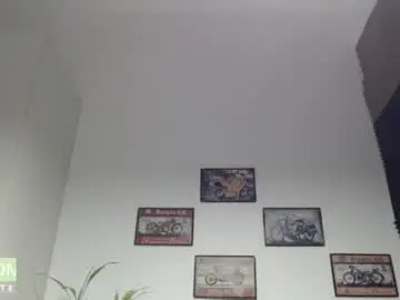 Chaturbate Adult Webcams of rustynf1tz