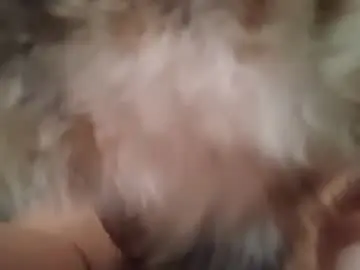 Chaturbate Live Porn of thehornyman916