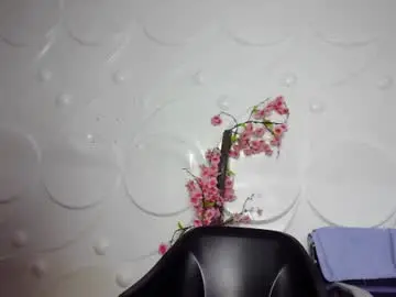 Chaturbate Nude Webcam of ebonykissxx