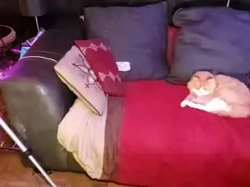 Chaturbate Free Porn Cam of brownboyt