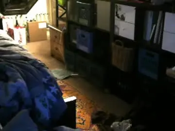 Chaturbate Live Sex of jimmystippp