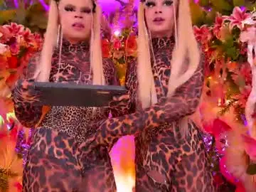 Chaturbate Live Sex Cam of spicysluts