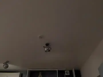 Chaturbate Live Sex Cam of stephierousee