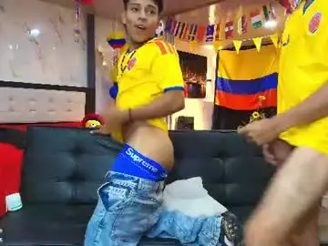 Chaturbate Adult Webcams of playhardsex