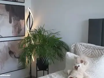 Chaturbate Live Porn of leyla_steel