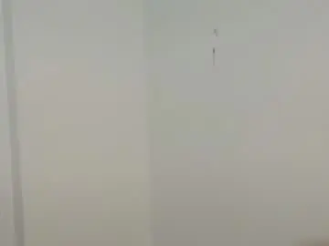 Chaturbate Live Porn of shreya_07