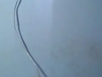 Chaturbate Watch Live Sex Cams of eljeorge_hott