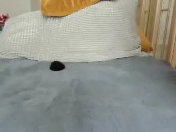 Chaturbate Live Sex Cam of single_fox_4u