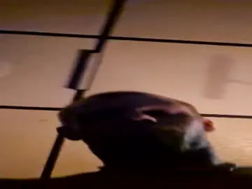 Chaturbate Best Webcam of jackacaster