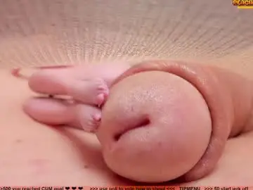 Chaturbate Free Porn Cam of kpetra