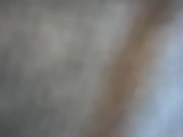 Chaturbate Private Sex Chat of tslexidream